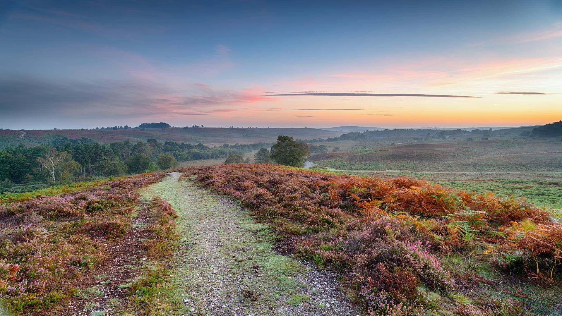 lakeside coastal village new forest excursion